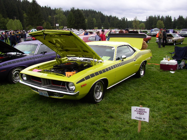 P1010061.JPG